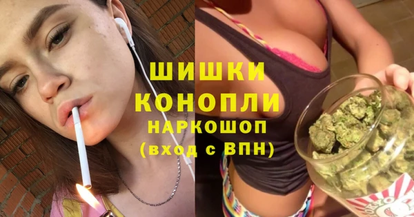 ПСИЛОЦИБИНОВЫЕ ГРИБЫ Михайловка