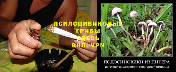 ПСИЛОЦИБИНОВЫЕ ГРИБЫ Михайловка