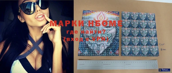 ПСИЛОЦИБИНОВЫЕ ГРИБЫ Михайловка