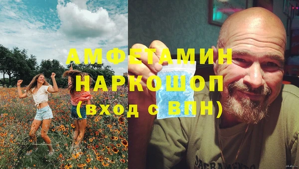 ПСИЛОЦИБИНОВЫЕ ГРИБЫ Михайловка