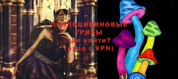 ПСИЛОЦИБИНОВЫЕ ГРИБЫ Михайловка