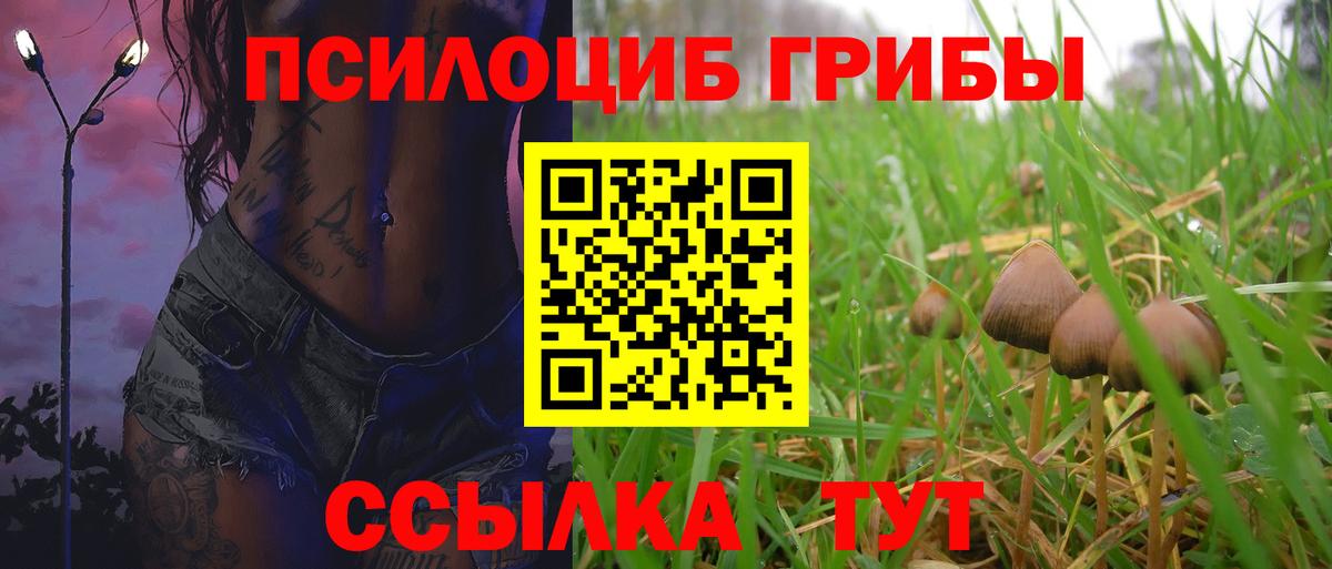 Галлюциногенные грибы Cubensis Ейск