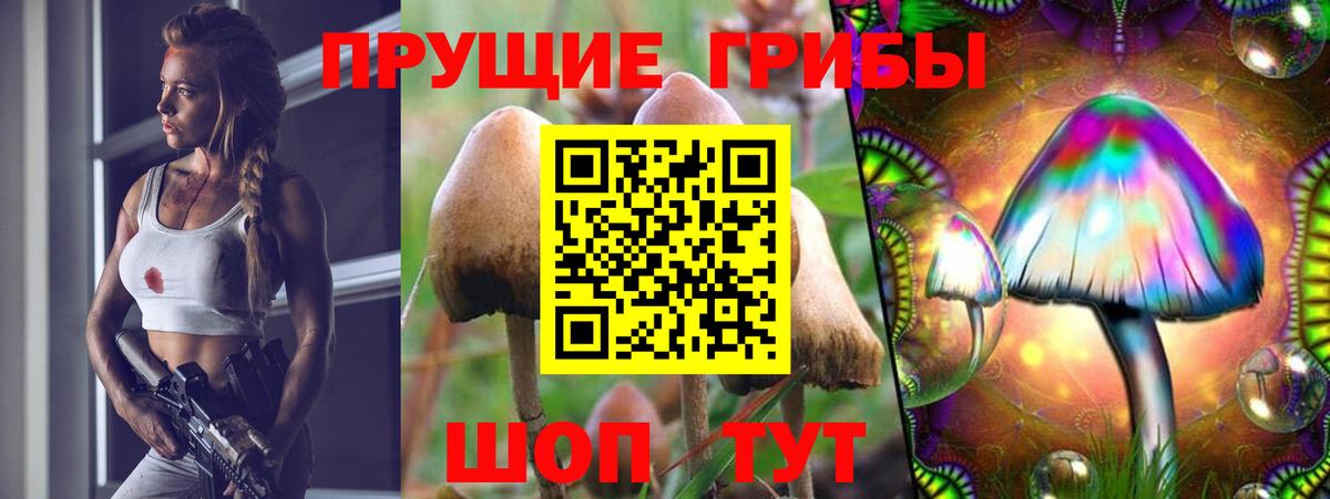 Ейск  Псилоцибиновые грибы MAGIC MUSHROOMS  Вход с VPN 
