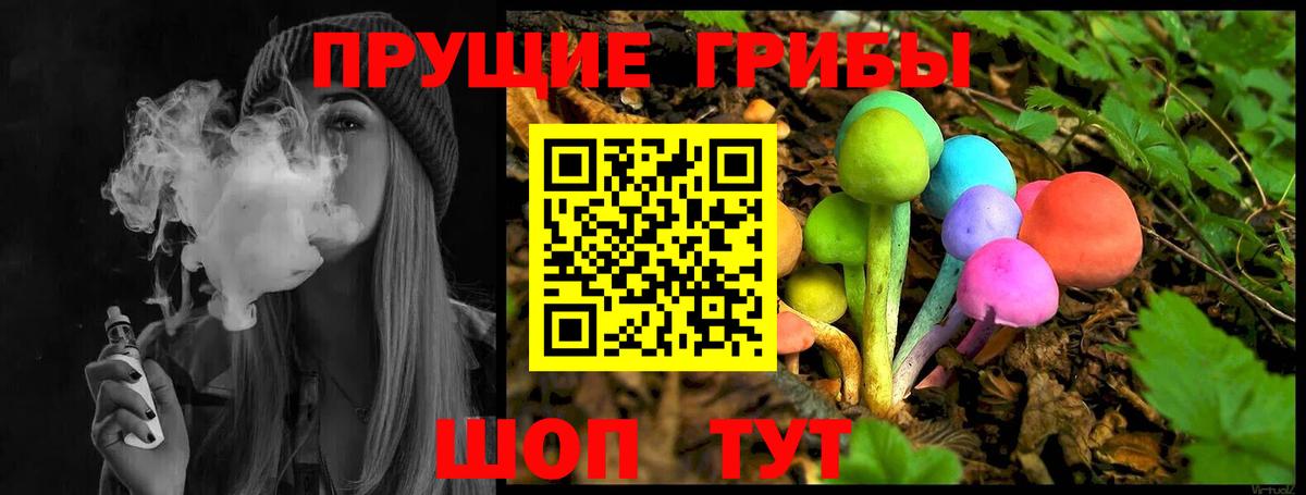 Псилоцибиновые грибы Cubensis Ейск